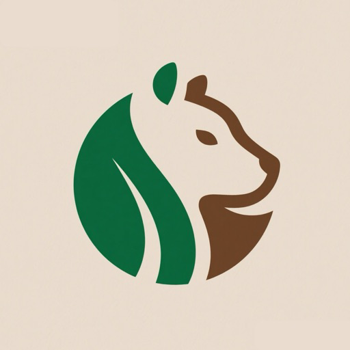 云影视